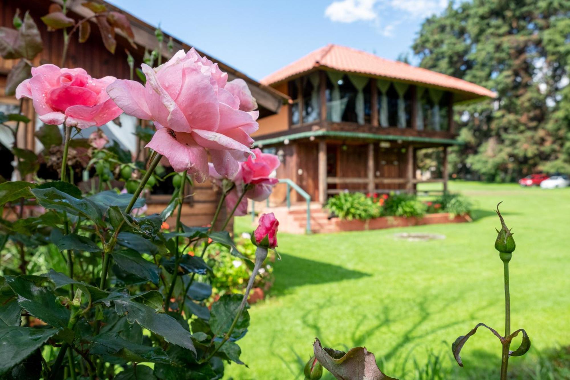 Zirahuen Forest And Resort Ngoại thất bức ảnh